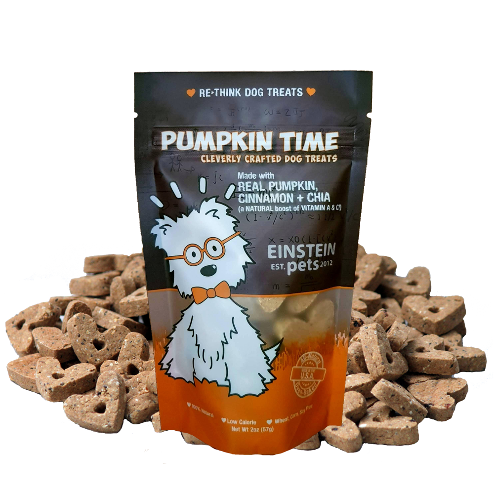 Einstein Pets Pumpkin Time Dog Treat 2oz