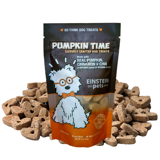 Einstein Pets Pumpkin Time Dog Treat 2oz