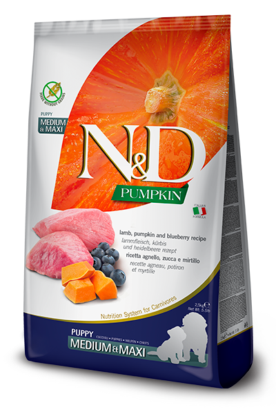 Farmina N&D Pumpkin Lamb & Blueberry Medium/Maxi Puppy Food