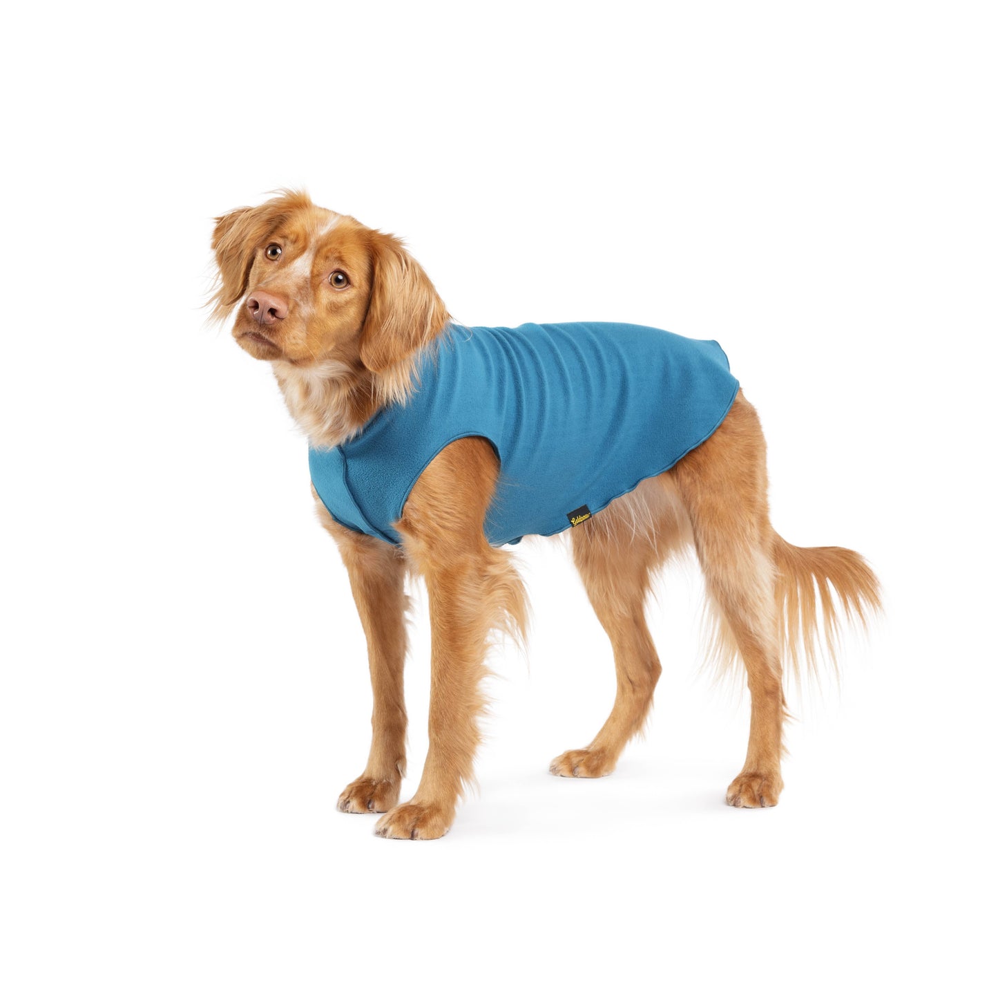 GoldPaw Stretch Fleece Sizes 14-30