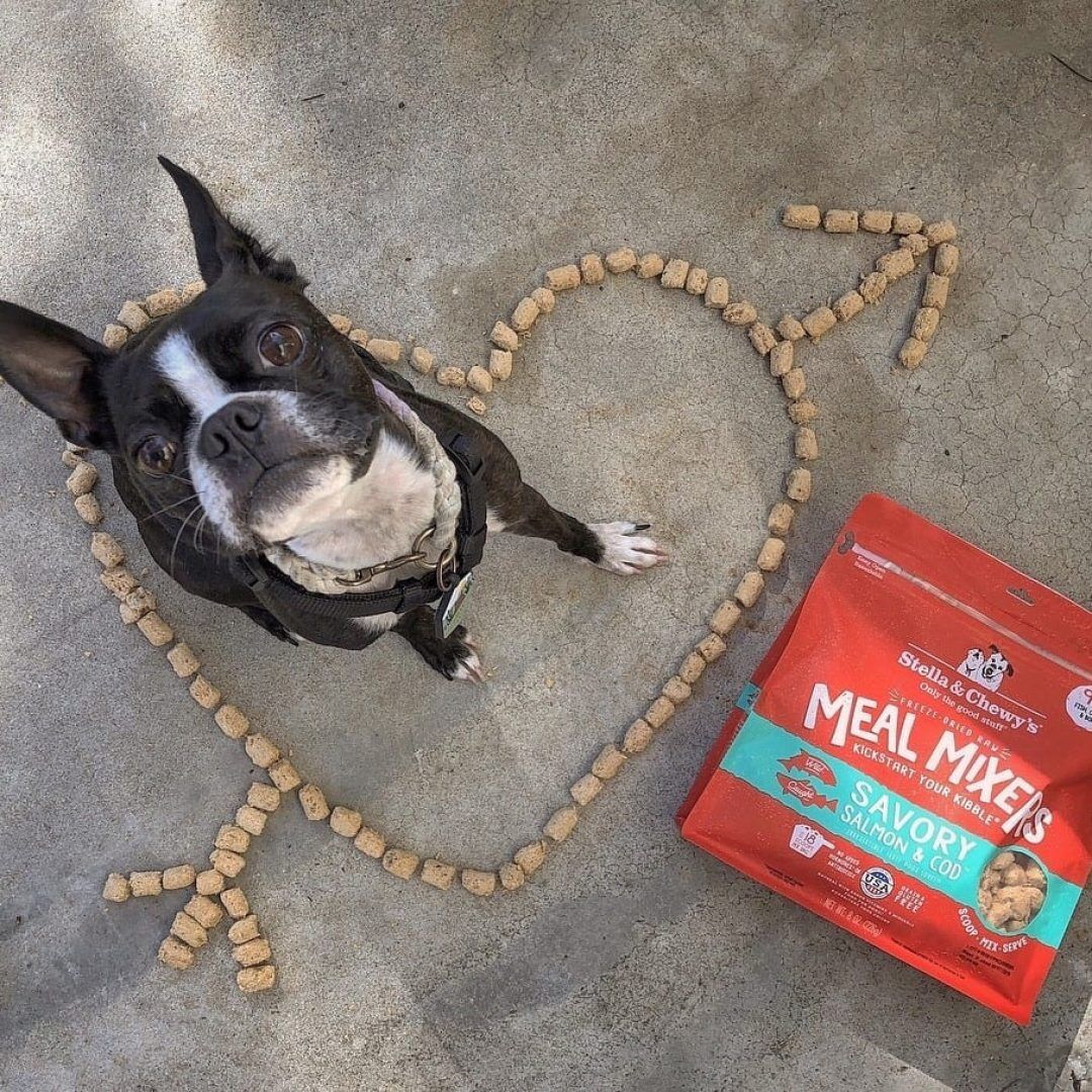 Stella & Chewy's Freeze Dried Savory Salmon & Cod Meal Mixers