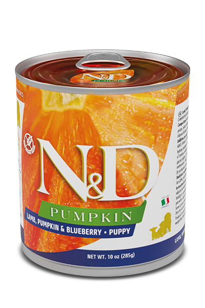 Farmina N&D Pumpkin Lamb & Blueberry Puppy Wet Food 10oz