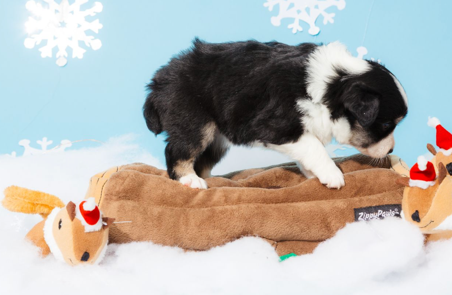 Zippy Paws Holiday Zippy Burrow Yule Log