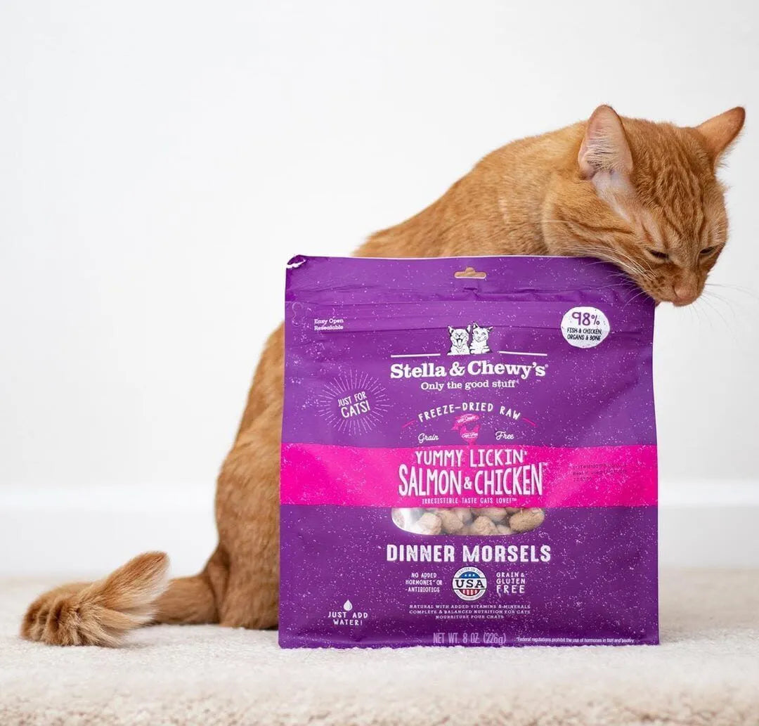 Stella & Chewy's Freeze Dried Raw Cat Food Yummy Lickin Salmon Chicken Morsels