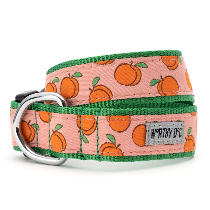 The Worthy Dog Peachy Keen Collar