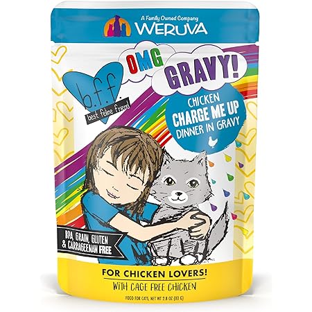 BFF OMG Charge Me Up Chicken 2.8oz Pouch