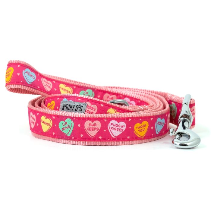 The Worthy Dog Puppy Love Heart Lead