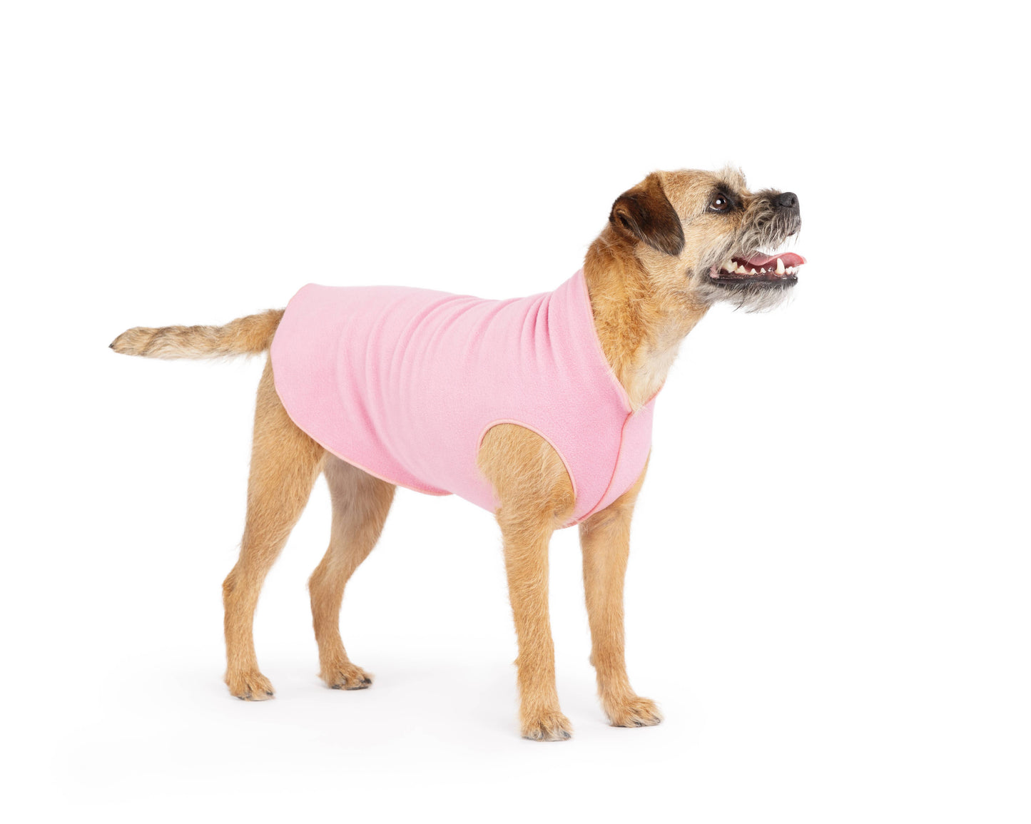 GoldPaw Stretch Fleece Sizes 14-30