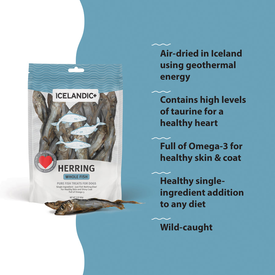 Iceland Herring Whole Fish 3-oz