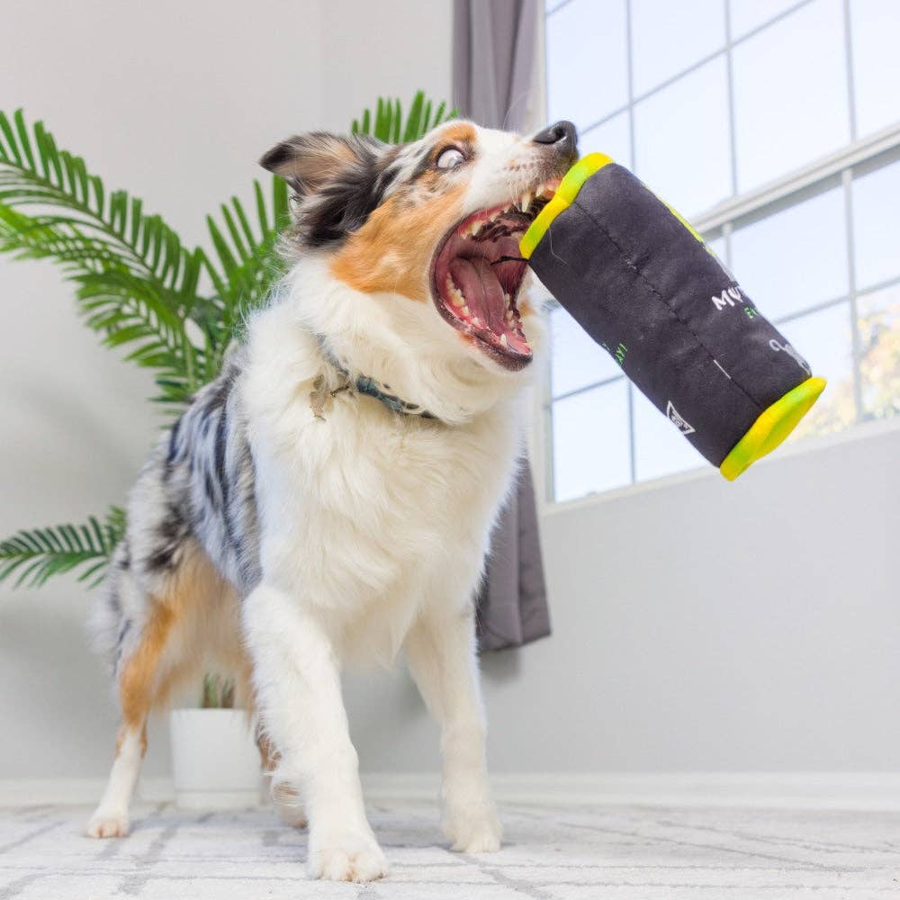 Muttster Energy For Dogs