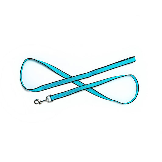 Bark Appeal Aqua Reflective Leash 5/8"