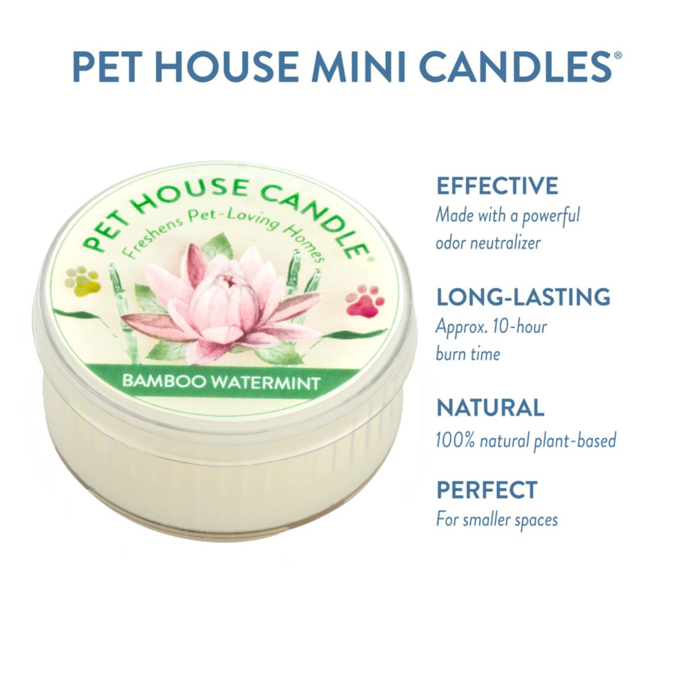 Pet House Bamboo Watermint Candle