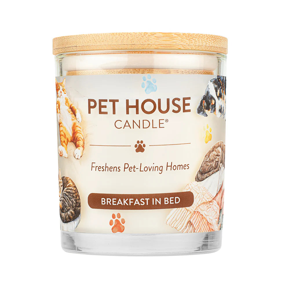 Pet House Candle Breakfast in Bed