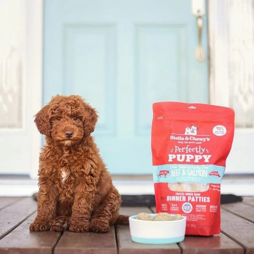 Stella & Chewy's Freeze Dried Perfectly Puppy Beef & Salmon Dinner Patties