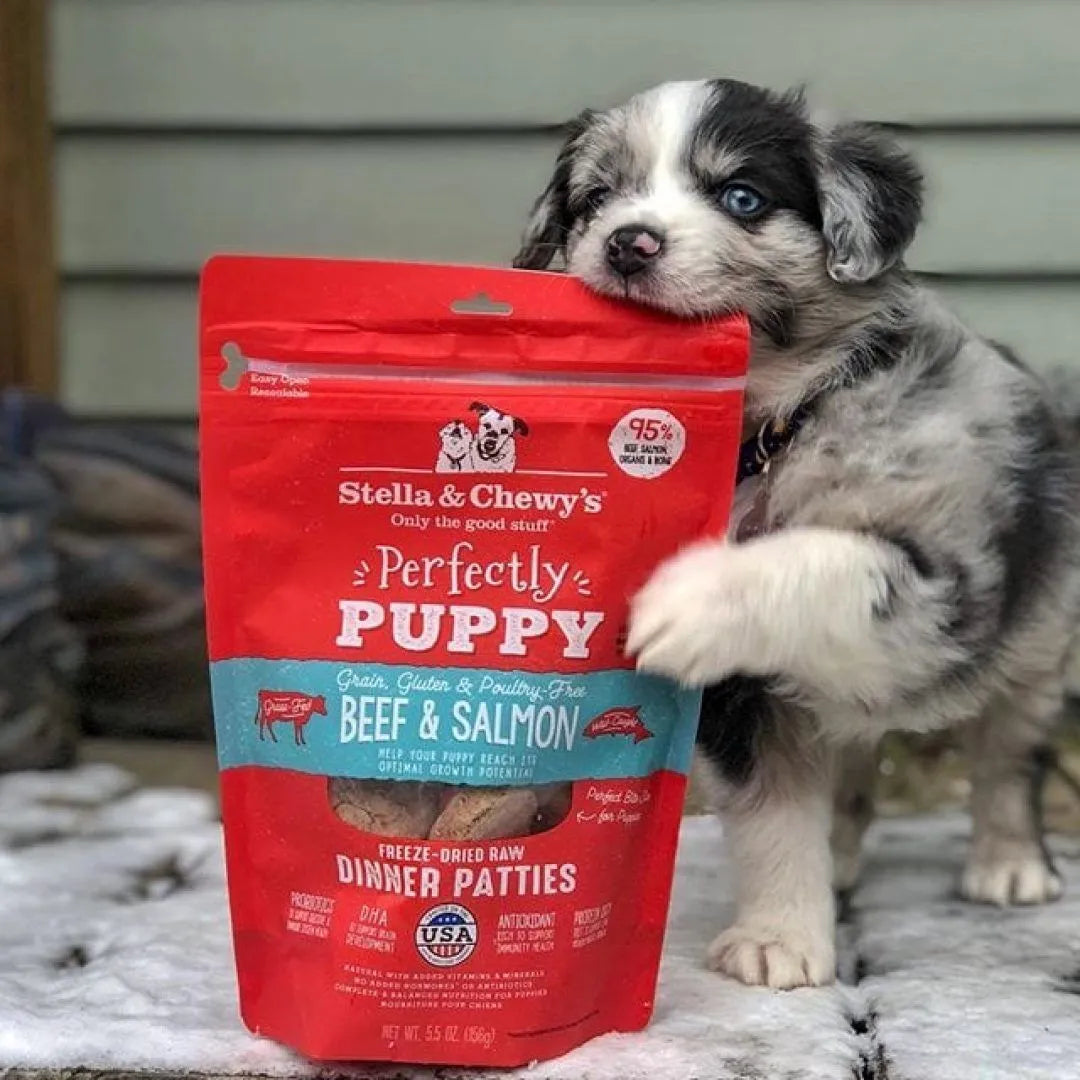 Stella & Chewy's Freeze Dried Perfectly Puppy Beef & Salmon Dinner Patties