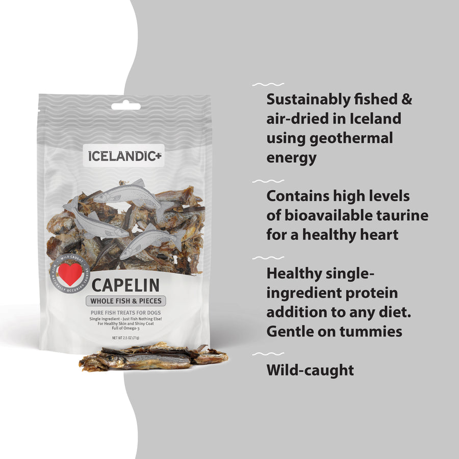 Icelandic Capelin Fish Dog Treat 2.5-oz