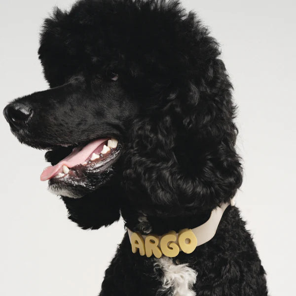 Springland Customizable Waterproof Dog Collar
