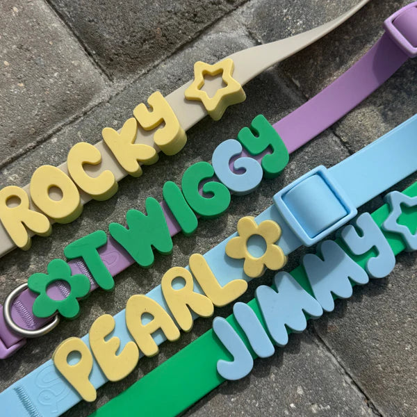 Springland Customizable Waterproof Dog Collar