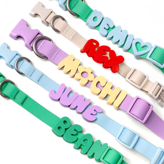Springland Customizable Waterproof Dog Collar