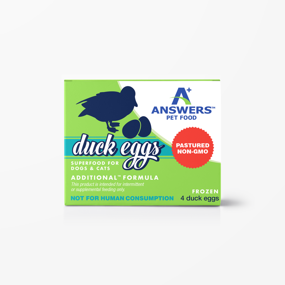 Answers Non-GMO Duck Eggs 4ct