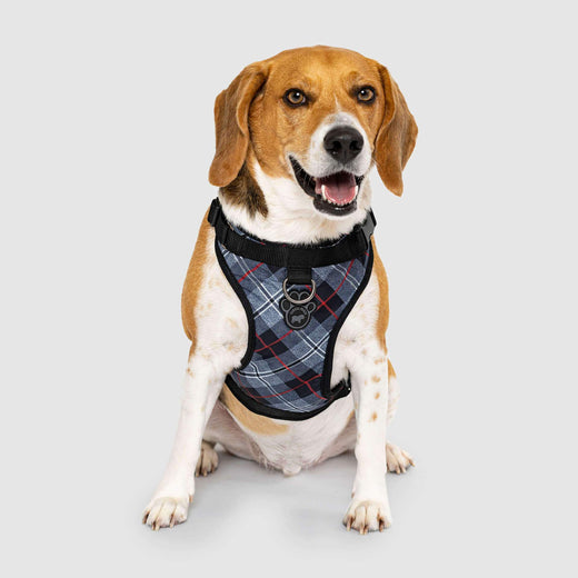 Canada Pooch Everything Harness Black Plaid