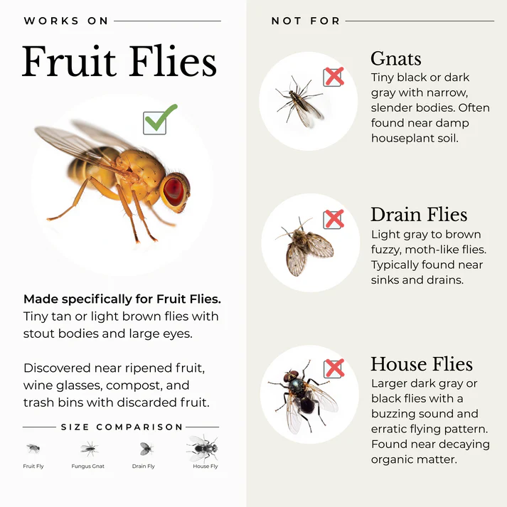 Wondercide Fruit Fly Trap For Home & Kitchen