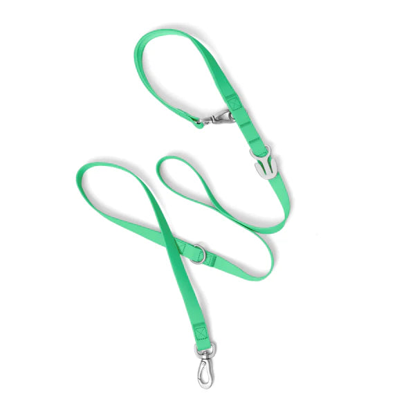 Springland Customizable Waterproof Dog Leash 5'