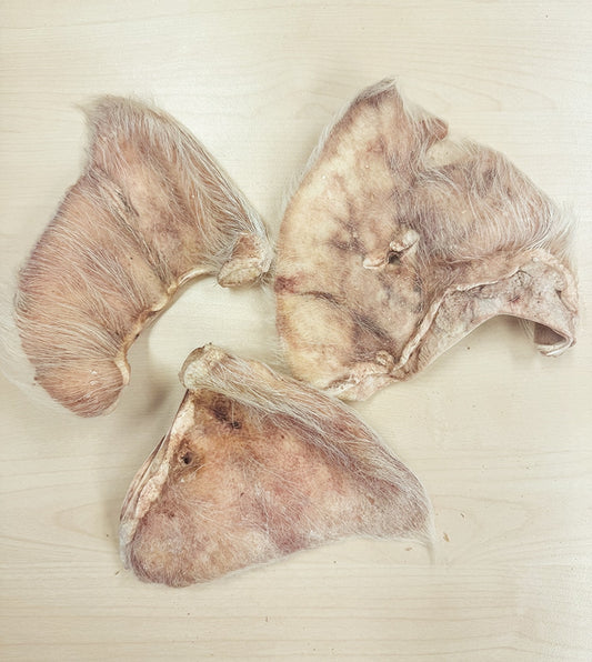 Momentum Freeze Dried Hairy Pig Ear Singles