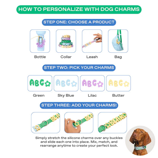 Springland Customizable Waterproof Dog Collar