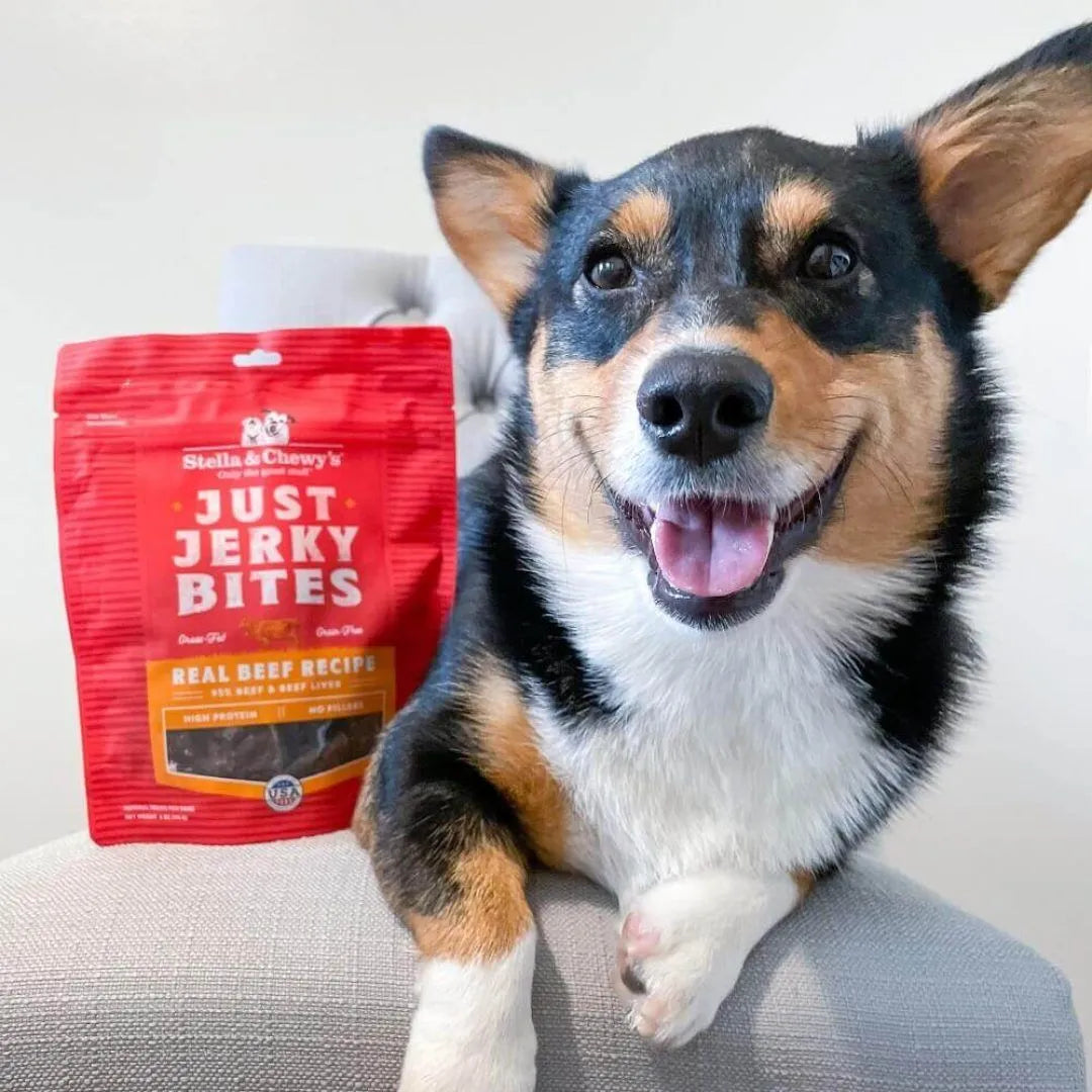 Stella & Chewy's Just Jerky Bites Beef Recipe 6oz