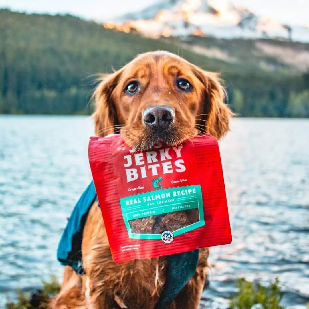 Stella & Chewy's Just Jerky Bites Salmon Recipe 6oz