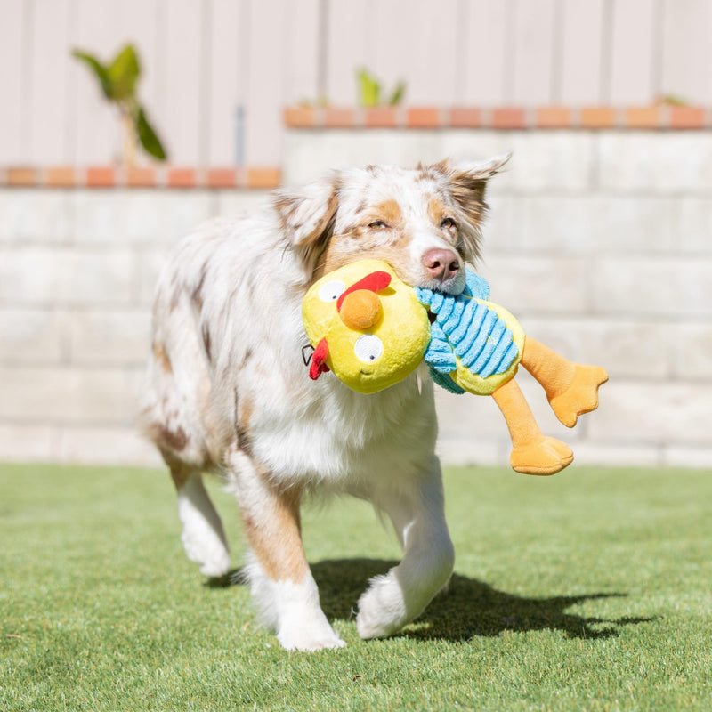 Huxley & Kent Dog Power Plush Kernal Pecker