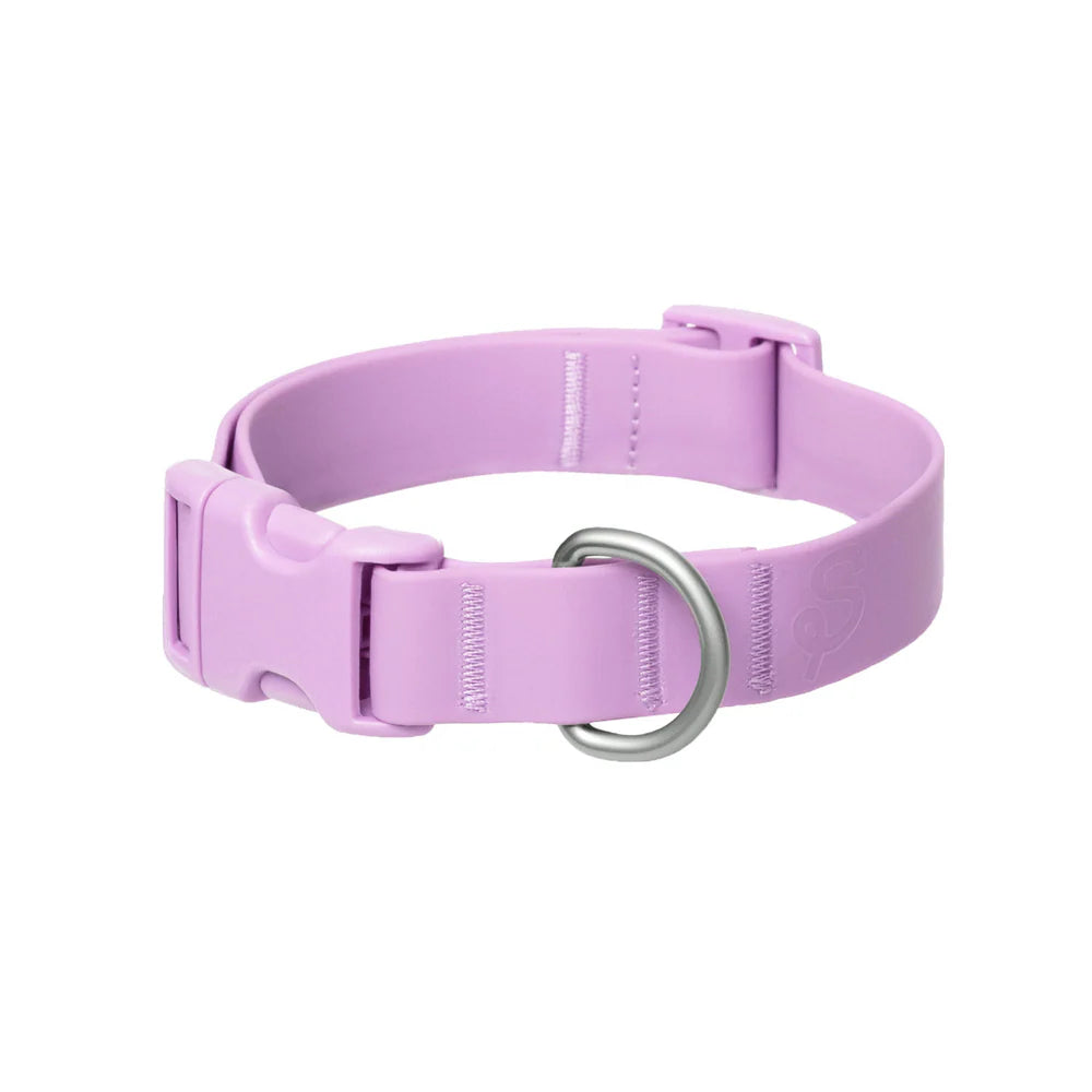 Springland Customizable Waterproof Dog Collar