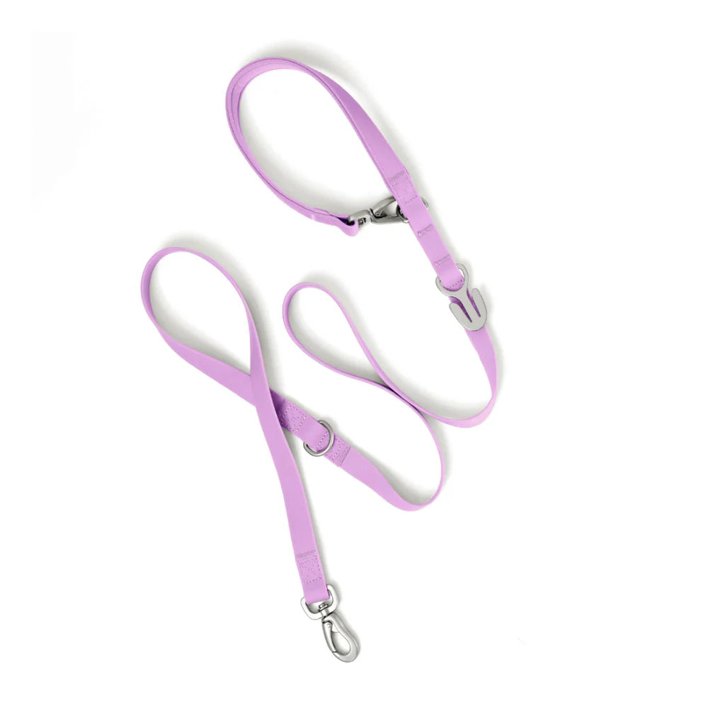 Springland Customizable Waterproof Dog Leash 5'