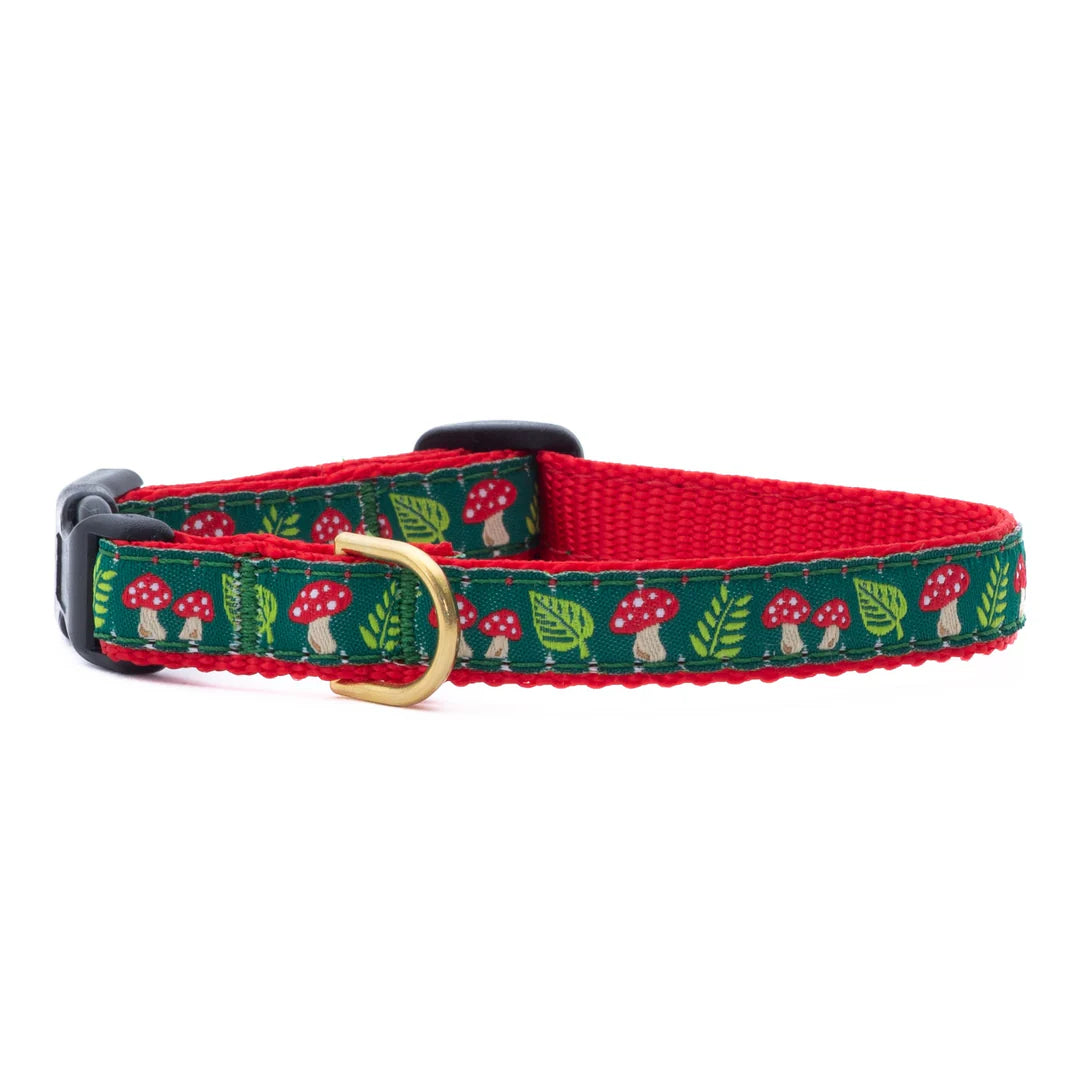 Up Country Mushrooms Collar