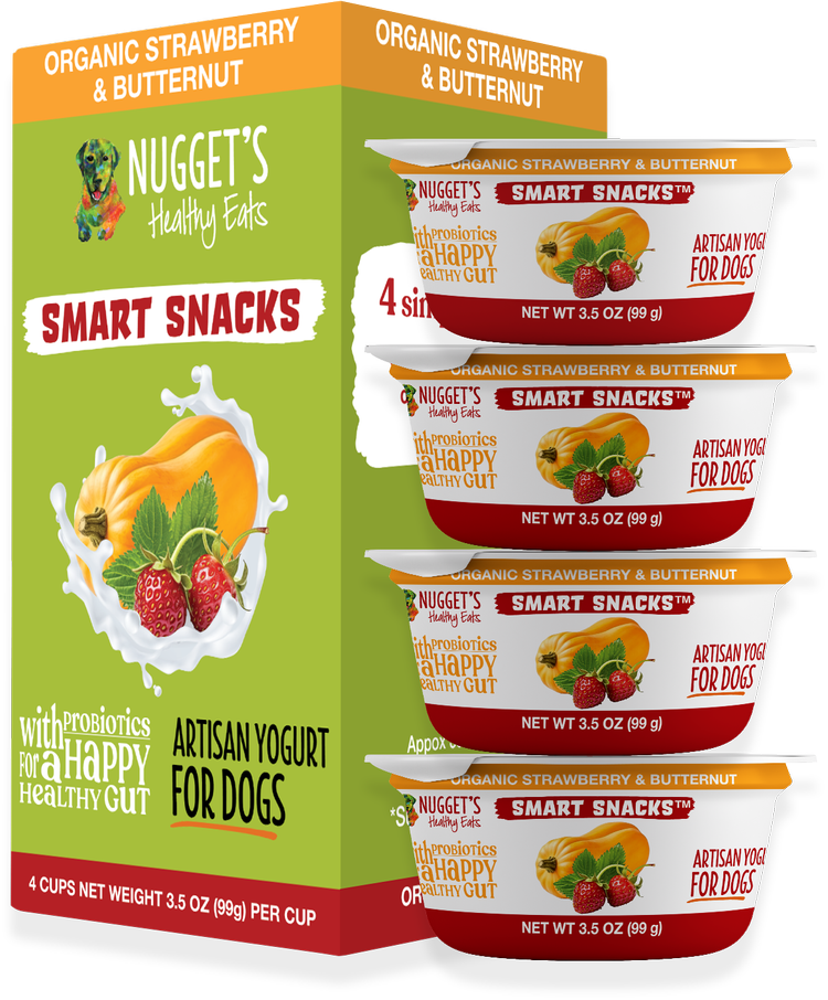 Nugget's Artisan Yogurt Stawberry & Butternut 3.5oz 4ct