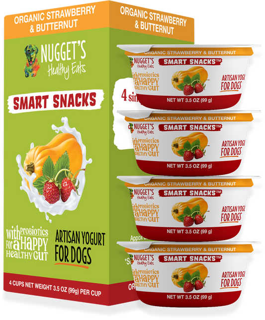 Nugget's Artisan Yogurt Stawberry & Butternut 3.5oz 4ct