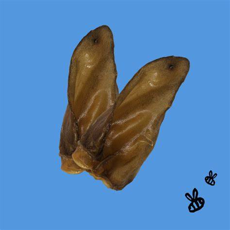 Honey I'm Home Honey Coated Buffalo Ear Chews Singles