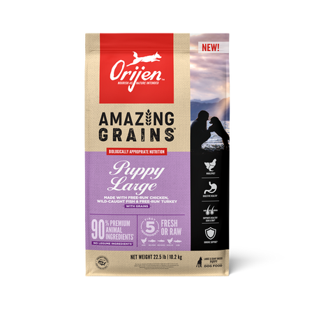 Orijen Amazing Grains Large Breed Puppy 22.5lb