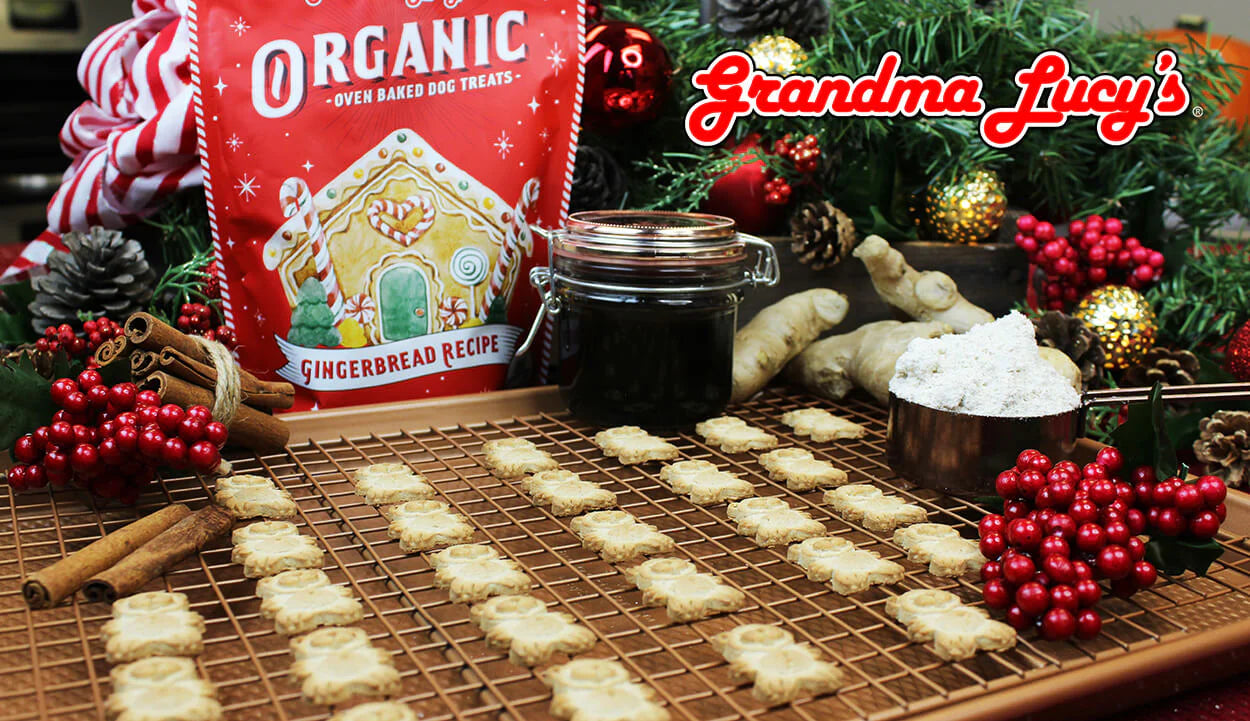 Grandma Lucy's Gingerbread Recipe 8oz