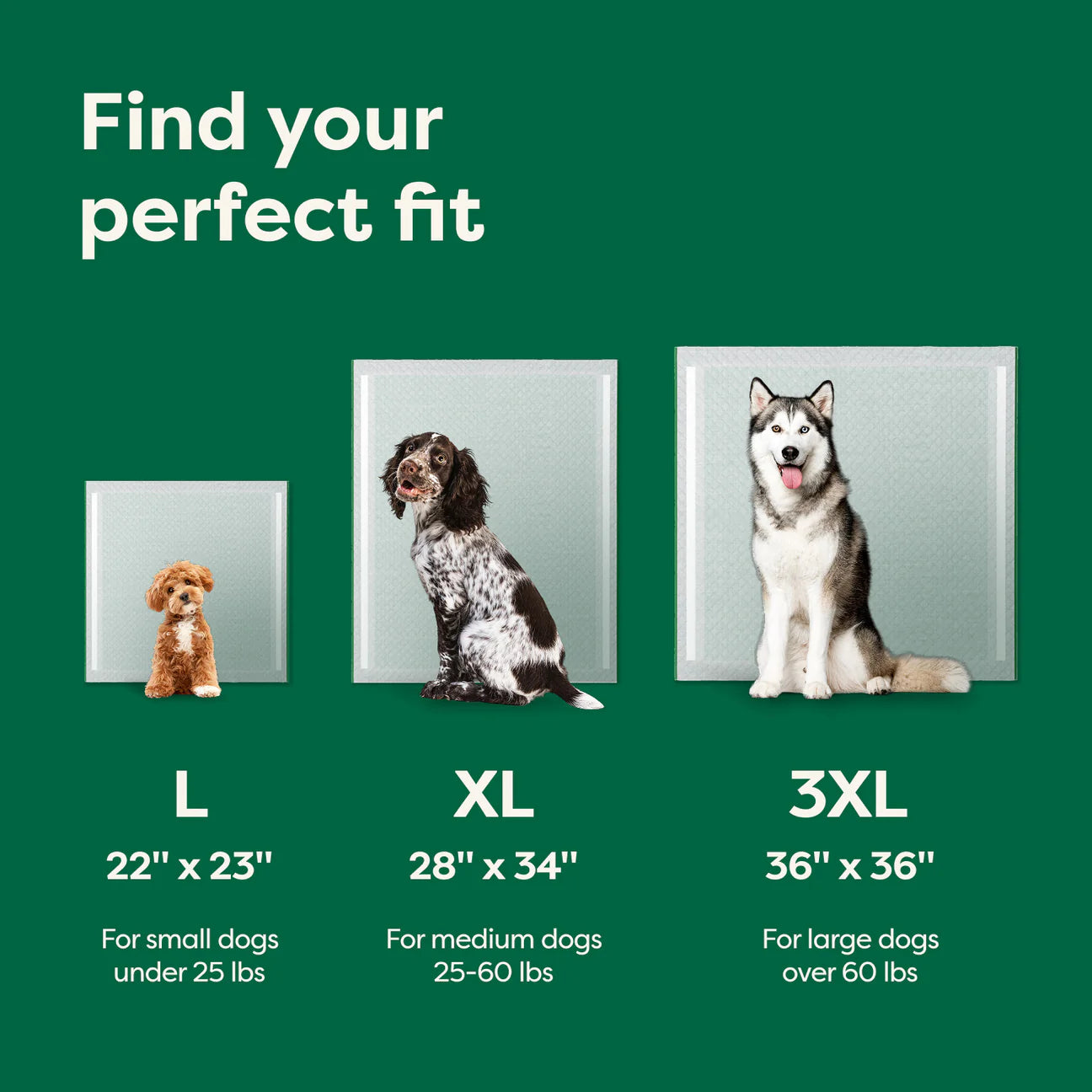 Earth Rated Dog Pee Pads Large