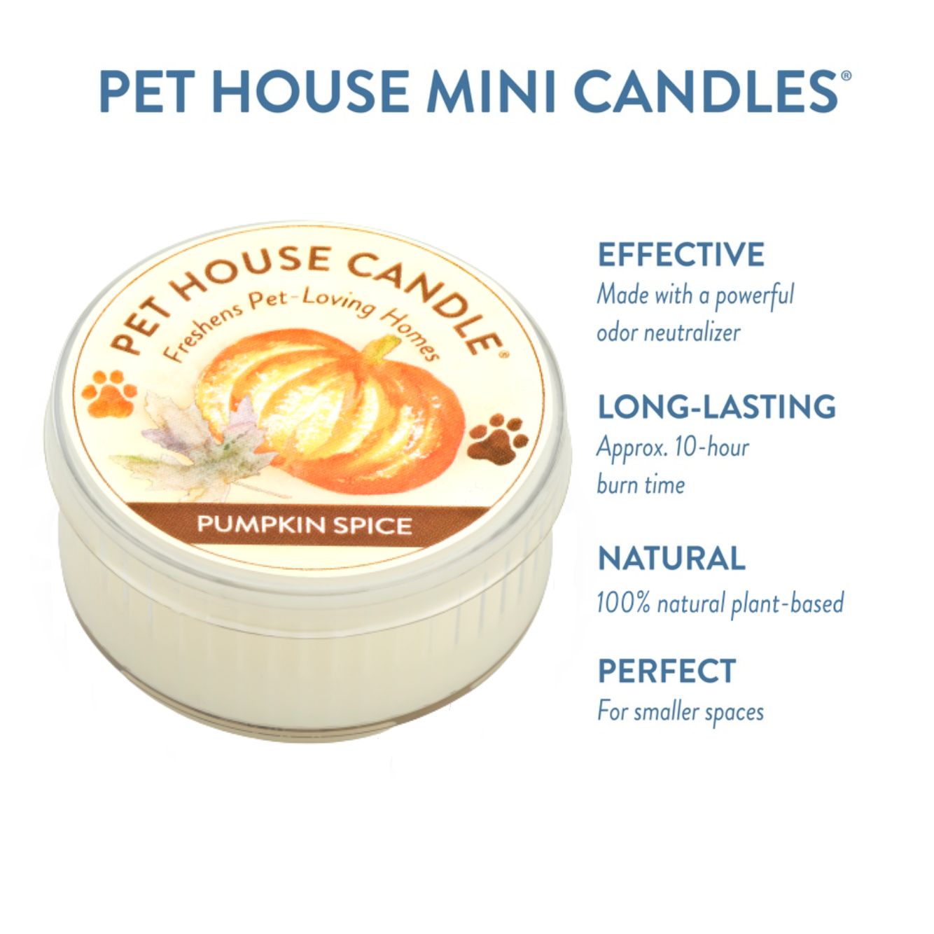 Pet House Pumpkin Spice Candle