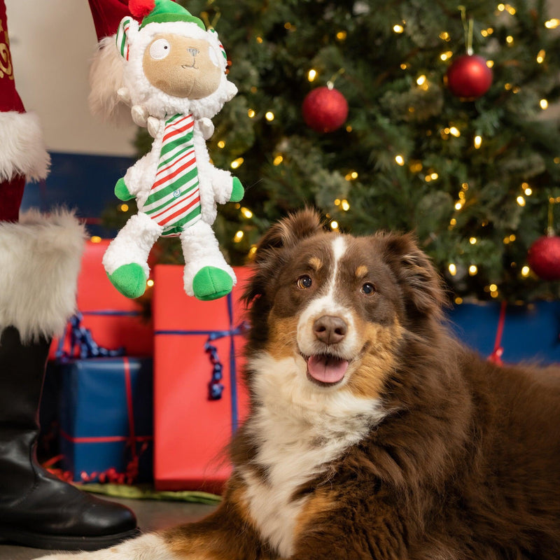 Huxley & Kent Dog Power Plush Peppermint Llama