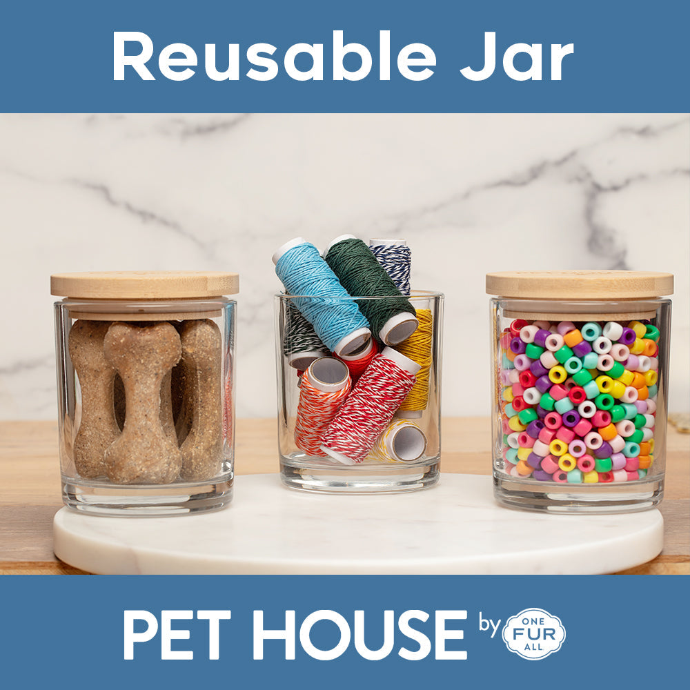 Pet House Pumpkin Spice Candle