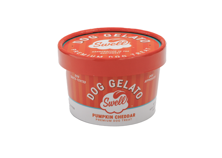 Swell Gelato Pumpkin Cheddar