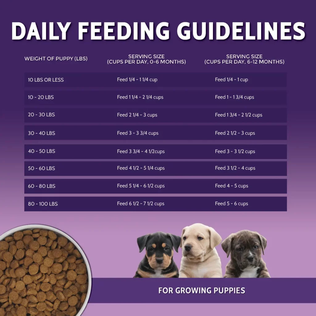 Zignature Grain Free Puppy Recipe