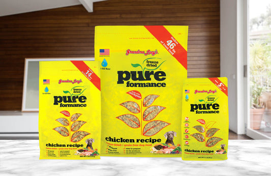 Grandma Lucy's Pureformance Grain Free Chicken Dog 10 Lbs