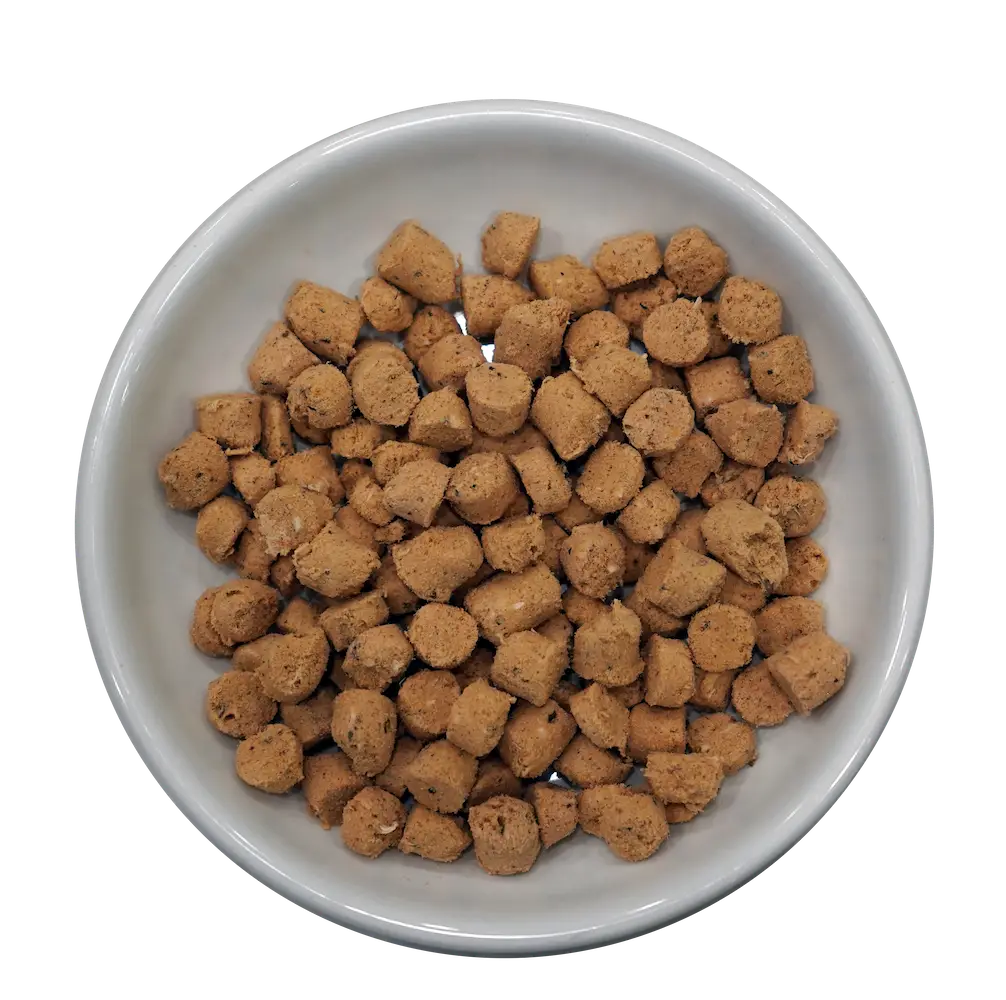 Steve's Real Food Quest Frozen Raw Nuggets Chicken Recipe Cat Food 2lb