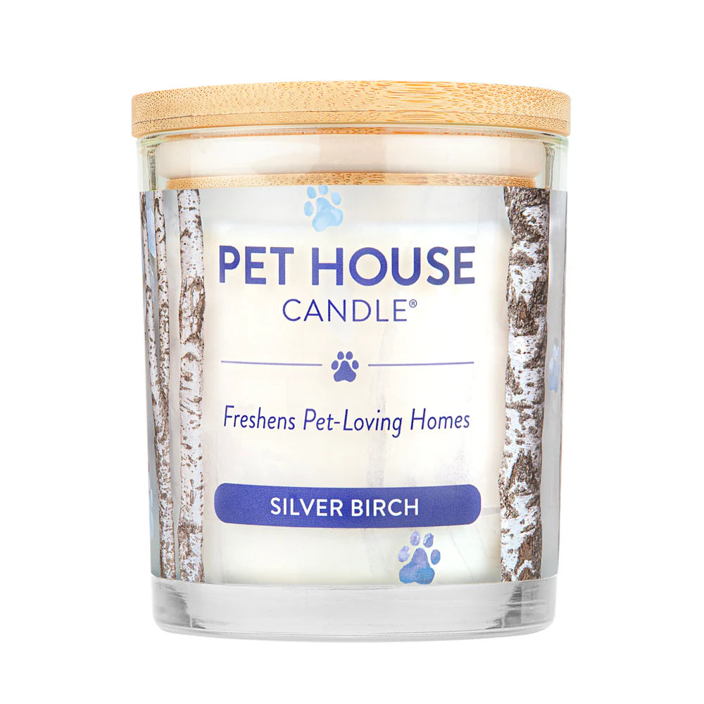 Pet House Silver Birch Candle