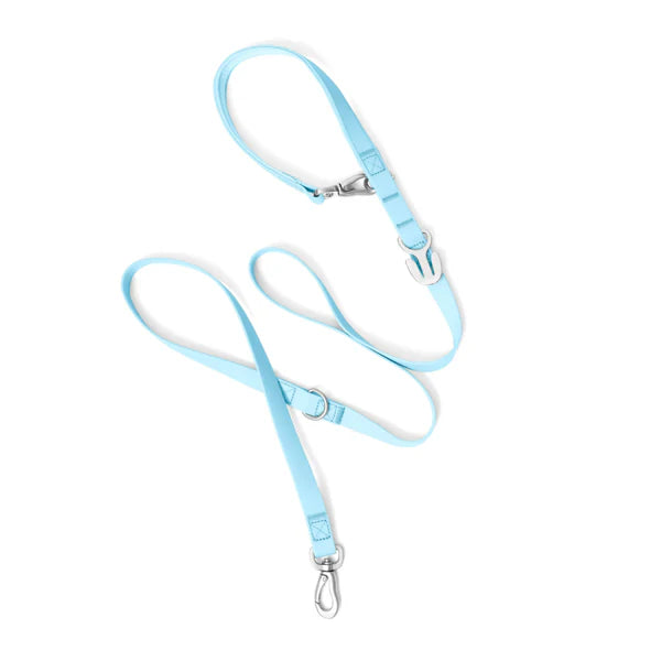 Springland Customizable Waterproof Dog Leash 5'